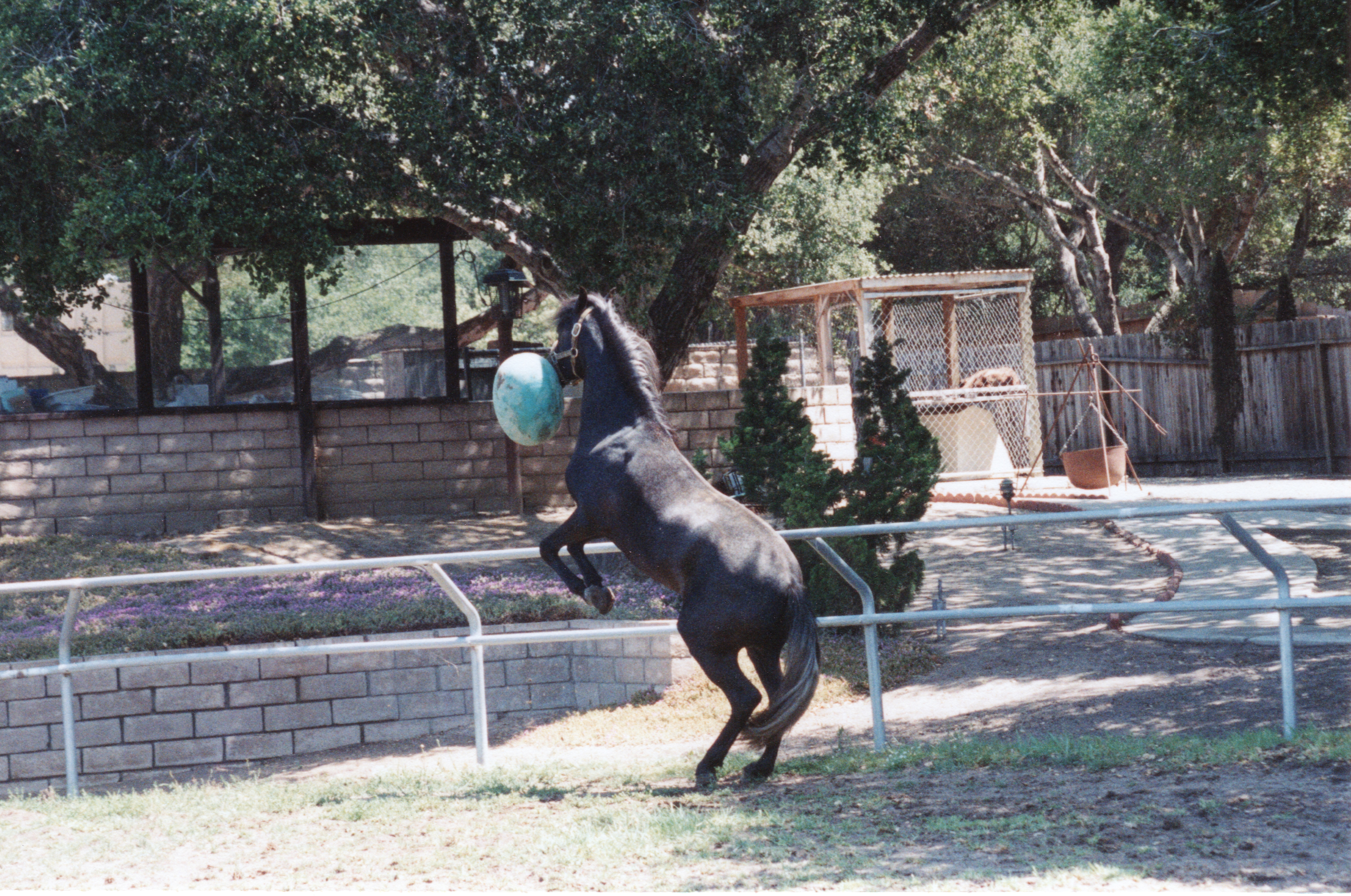 Pago.or.Springtime.hi-res